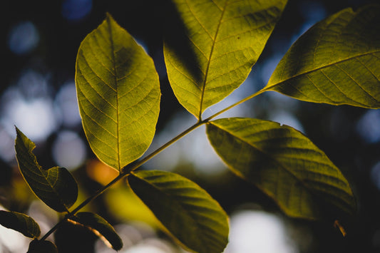 Standing at the verge of change
