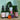 Plant Essence Set