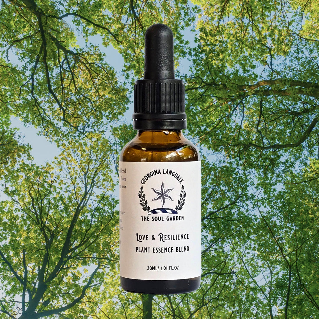 Love & Resilience Plant Essence Blend